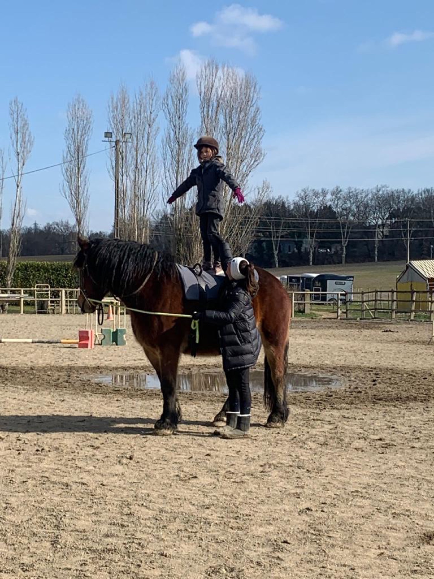 Poney